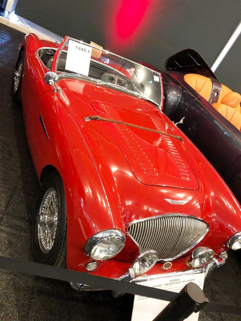 1955 Austin - Healey 100