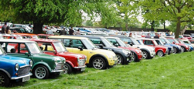 Minis at Himley Hall