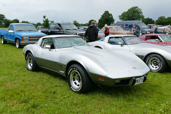 1978 Chevrolet Corvette Silver Anniversay Special