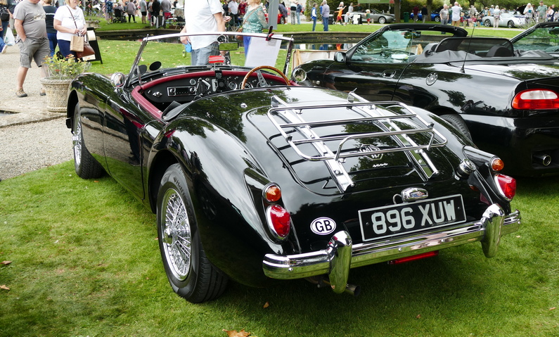 MGA Rear.