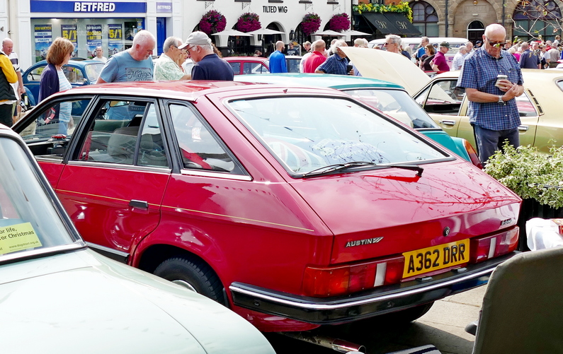 1982-84 Austin Ambassador. Rear.