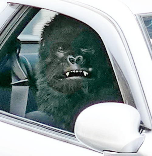 Lexus Soarer Driver Retro Warwick 2024