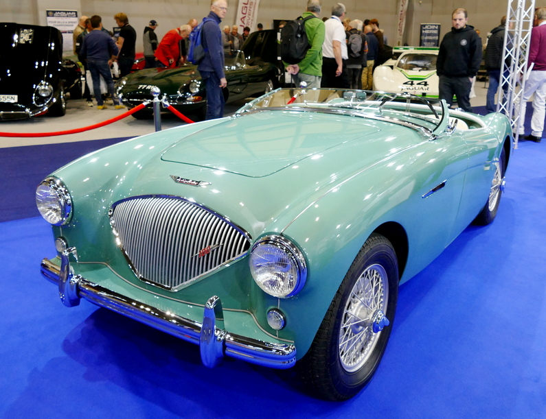 1954 Austin Healey 100 BN1