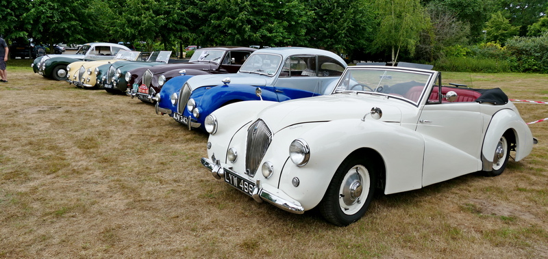 An array of 1950s Healey cars at the Riley Owners Club centenary Woodland Grange Leamington June 2025