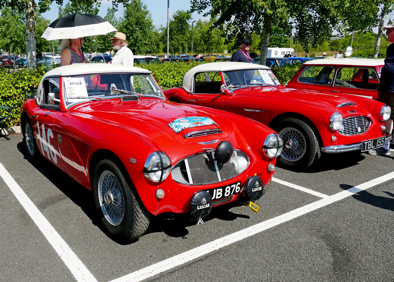 1961 Austin Healey 3000 Works Rally Car XJB 876.