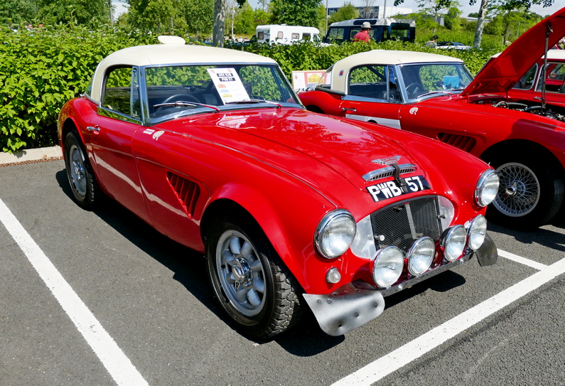 1964 Austin Healey 3000 works rally car ARX 92B/PWB 57