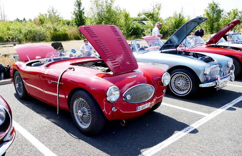 1955 Austin Healey 100 S