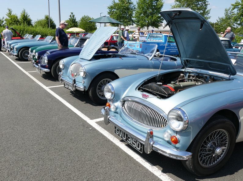BMC Comp.s Dept. 70th at Gaydon - Big Healeys blue