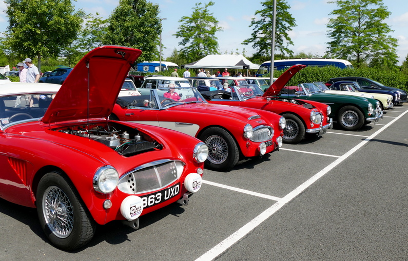 BMC Comp.s Dept. 70th at Gaydon - Big Healeys